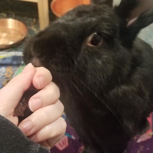 Meet your Posher - Picture 2 of 3